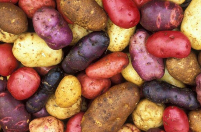 Diversification and Potatoes