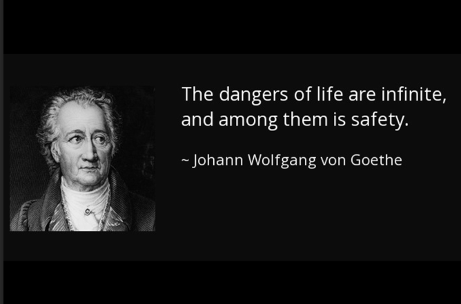 “The dangers of life are infinite, and among them is safety.”  -Goethe